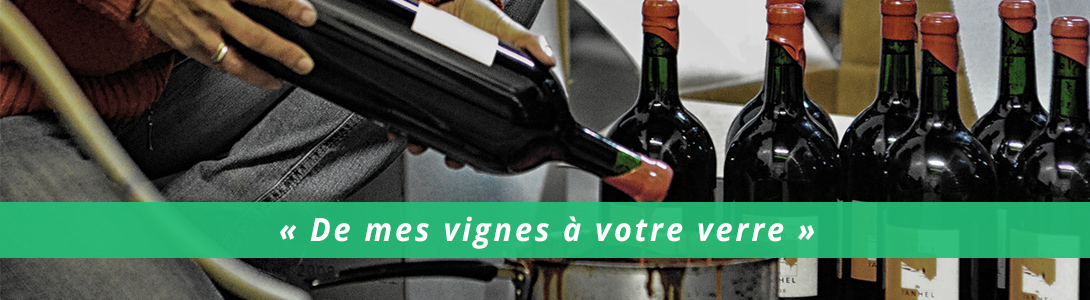 Mes vins bio de Corbière